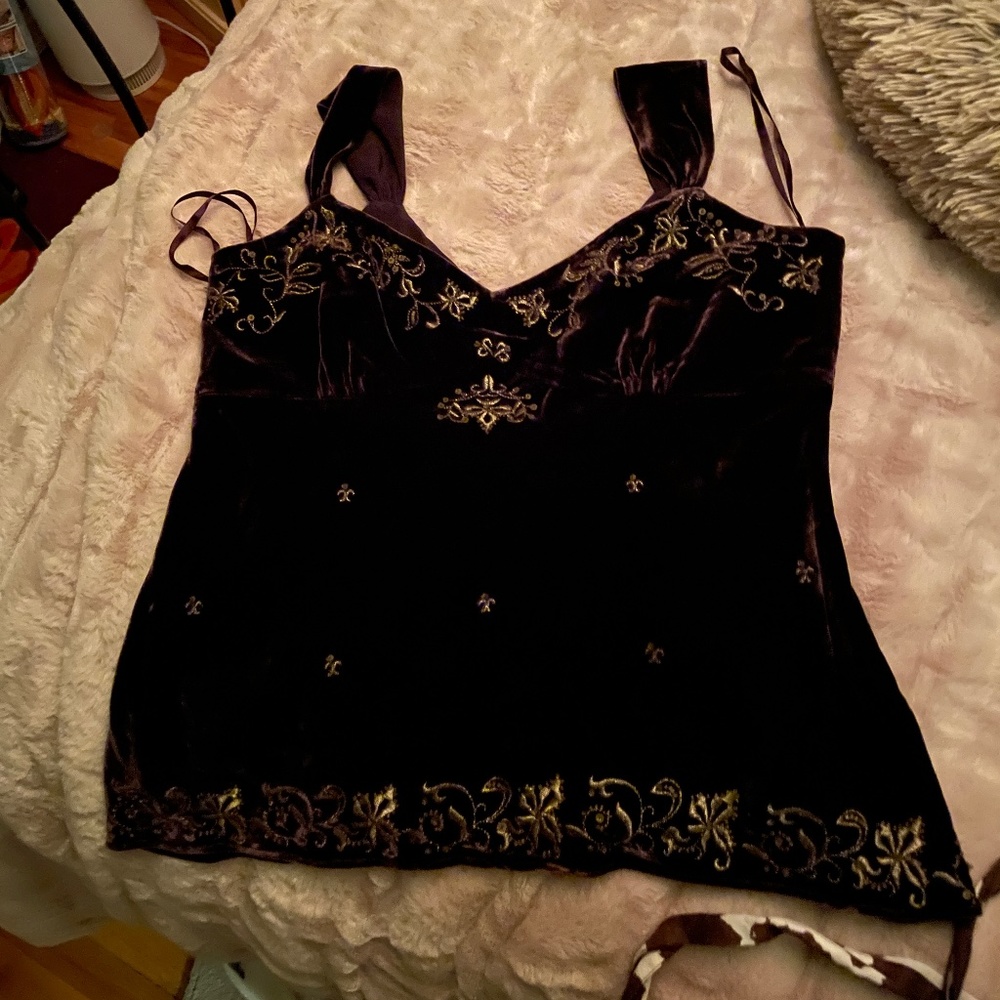Ann Taylor Brown Velour with embroidered and beading Tank size 14